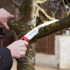 FELCO 640, 10.6in. Impulse Hardened Curved Fixed Blade Pull-Stroke Saw, Locking Sheath Included with Leg Strap - 4 of 4