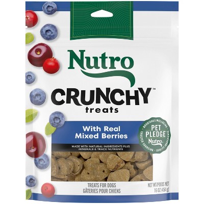 Nutro Mixed Berry Flavor Crunchy Dog Treats