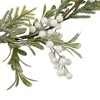 Northlight 5' x 7" Artificial Christmas Garland with Frosted Foliage and White Berries Unlit - 3 of 3