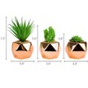 Set of 3 Small Artificial Succulent Plant Mini Fake Faux Succulents Realistic Cactus Cacti Plants in Rose Gold Geometric Pots - 2 of 4