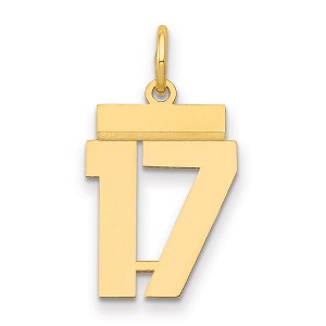 Black Bow Jewelry 14k Yellow Gold, Athletic Collection, Small Polished Number 17 Pendant - 1 of 3
