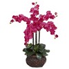 Nearly Natural Phalaenopsis with Decorative Vase Silk Flower Arrangement, Cream - 2 of 4