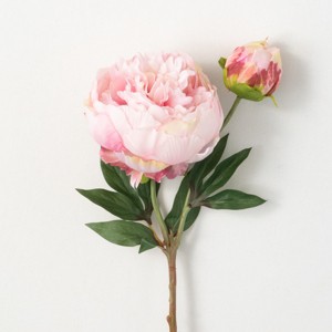 22"H Sullivans Pale Pink Peony With Bud, Pink - 1 of 2