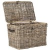 Amancio Trunk - SEA7021 - Grey - Safavieh - 3 of 4