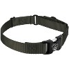 Country Brook Petz Heavyduty Nylon Martingale with Premium Buckle - 4 of 4
