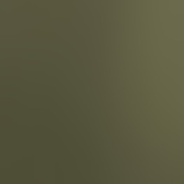 1 navy 1 olive green