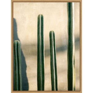 Amanti Art Oaxaca Shades of Green by Raisa Zwart Canvas Wall Art Print Framed - 1 of 4