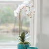 Plum & Post Phalaenopsis Orchid Faux (Fake) Drop-In 26" - 2 of 4