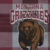 NCAA Montana Grizzlies Plaid Steel Royal Plush Faux Shearling Blanket - 2 of 2