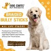 Dog Chits Braided Bully Sticks for Dogs and Puppies | Natural Healthy Long Lasting Chew for Large and Small Dogs Protein Treats | Odor Free - 2 of 4