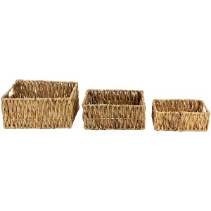 Northlight Set of 3 Brown Water Hyacinth Woven Storage Baskets With Built-in Handles 15.75" - 1 of 4