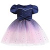 MyKids-Usa Baby Girl Frozen Elsa Princess Dress Birthday Tutu Formal Western Style Dress - 3 of 4
