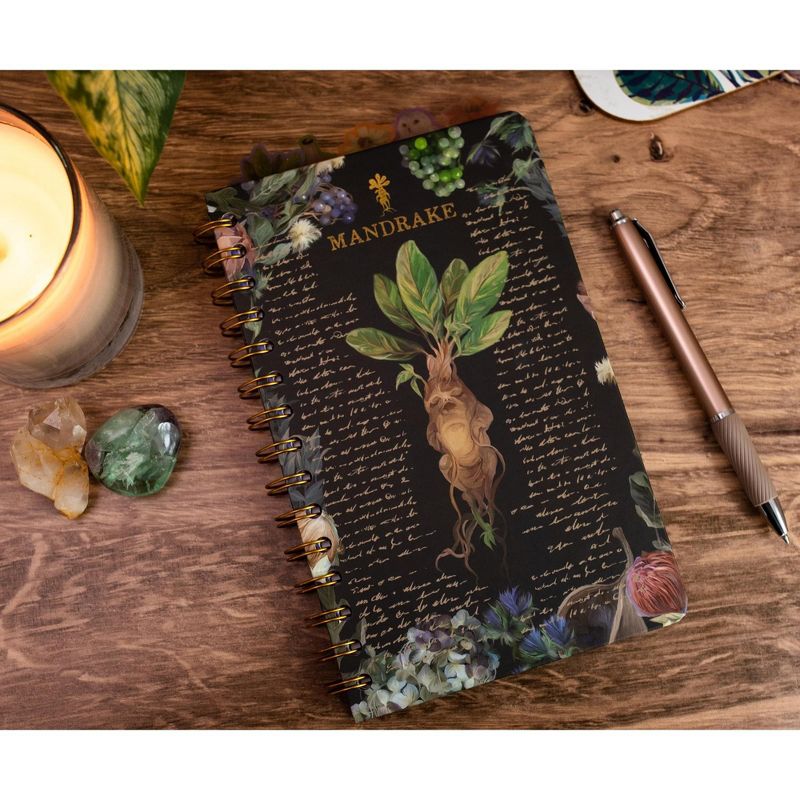 Silver Buffalo Harry Potter Mandrake Floral 5-Tab Spiral Notebook Journal, 2 of 8