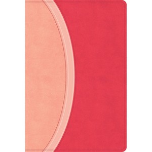 CSB Rainbow Study Bible, Pink Leathertouch (Limited Edition) - by  Csb Bibles by Holman (Leather Bound) - 1 of 1