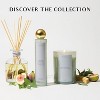 Benevolence LA Sun Kissed - Pacific  Driftwood Gift Box - 3 of 4