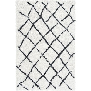 Berber Shag BER162 Power Loomed Indoor Rugs - Safavieh - 1 of 4
