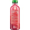 Bai Boost Watamu Strawberry Watermelon, Antioxidant Infused Beverage - 18 Fl Oz Bottle (Pack of 12) - 4 of 4