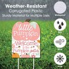 Big Dot of Happiness Girl Little Pumpkin - Party Decorations - Fall Birthday Party or Baby Shower Welcome Yard Sign - 3 of 4
