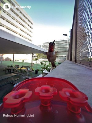 Guest review image 4 of 4, zoom in