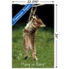 Trends International Famous Kitten Hang In There Poster Unframed Wall Poster Prints - 3 of 4