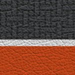 syracuse orange