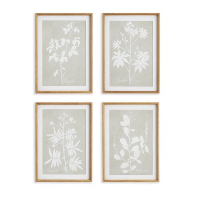 Plum & Post Foliage Study, Set Of 4