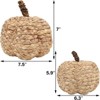 BRINJOY 2-Piece Beige Woven Cattail Pumpkin Set - Handmade Fall Decorations, Farmhouse Table Centerpiece for Indoors, Mantel, Dining Table, Porch - 3 of 4