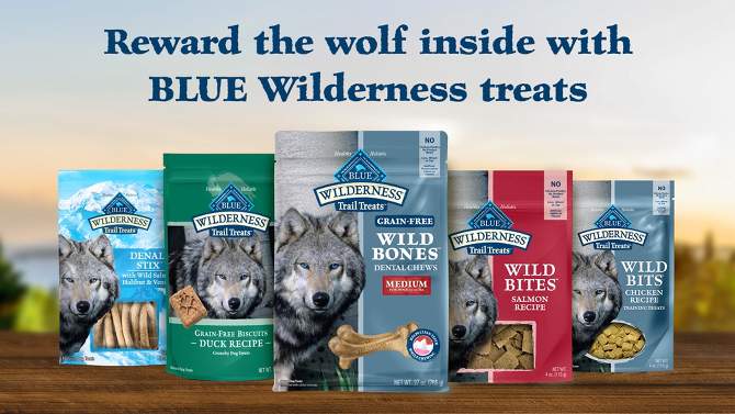 Blue Buffalo Wilderness Trail Treats High Protein Grain-Free Crunchy Dog Treats Biscuits Duck Recipe - 10oz, 2 of 7, play video