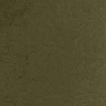 dark olive green