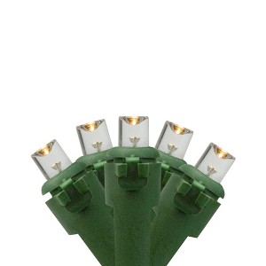 Northlight 20 Battery Operated Warm White Wide Angle LED Christmas Lights - 9.5 ft, Green Wire - 1 of 3