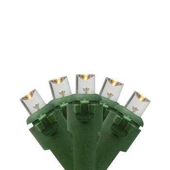 Northlight 20 Battery Operated Warm White Wide Angle LED Christmas Lights - 9.5 ft, Green Wire