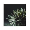 23" x 23" Warrior Succulent by Emiko and Mark Franzen of F2 Images Unframed Wall Canvas - Kate & Laurel All Things Decor - 2 of 4
