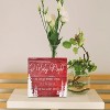 O Holy Night Wooden Box Sign, Red Christmas Decor for Home, 5x5 Inch - 3 of 4