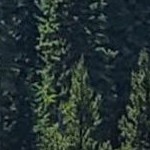 fencepost brown narrow