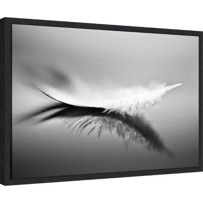 Amanti Art Black and White Feather Canvas Print with Floating Frame