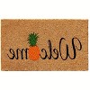 HomeRoots 17" X 29" Natural And Black Pineapple Welcome Outdoor Coir Door Mat - 4 of 4