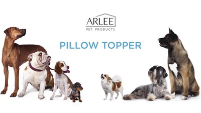 X-Large Orthopedic Mushroom Outdoor Dog Bed with Pillow Top