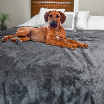 King-Size Gray Cotton Waterproof Blanket for Kids and Pets