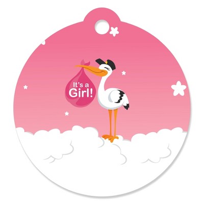 Big Dot of Happiness Girl Special Delivery - Pink It's A Girl Stork Baby Shower Favor Gift Tags (Set of 20)