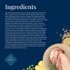 Blue Buffalo Basics Skin & Stomach Care Natural Adult Dry Dog Food with Turkey & Potato - 11lbs - 4 of 4