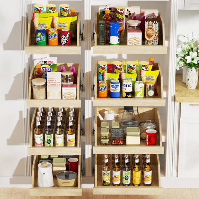 Pull Out Cabinet Organizer with Full Extension Rail Slides for Kitchen Cabinet Pantry with U Bracket
