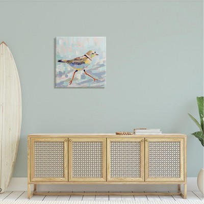 Coastal Plover Abstract Bird Canvas Wall Art