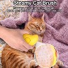 BABYYER 3 In1 Steamy Cat/Dog Brush - Multifunctional Grooming Tool  , Pet Hair Removal Comb for Shedding & Massage - 3 of 4