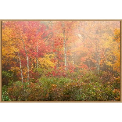 Autumn Forest Landscape Canvas Wall Art in Warm Hues