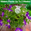 5 Star Super Deals Automatic Self Watering Glass Plant Flower Globes - Easy Refill w/ Cork Stopper - Drip Irrigation for Vacation Plant Care 4pc - 4 of 4