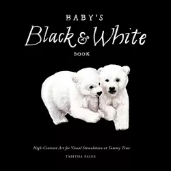 Baby's Black and White Contrast Book - by  Tabitha Paige (Hardcover)