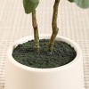 DR.Planzen 5-7FT Faux Eucalyptus Tree with Oval White Planter, Pre Potted Artificial Eucalyptus Tree for Home Decor - 4 of 4