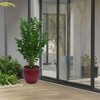 KWPZQEB Plant Pots Set of 3, Ceramic Planters with Drainage Holes, Nursery Planting Pot for Indoor Out Door Plants - 2 of 4