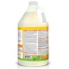 OdoBan Disinfectant Concentrate and Odor Eliminator, Citrus Scent - 2 of 4