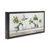 Stupell Industries Traditional Potted Cottage Plants Floating Frame Canvas Art, Black, 31" x 14" - 2 of 4